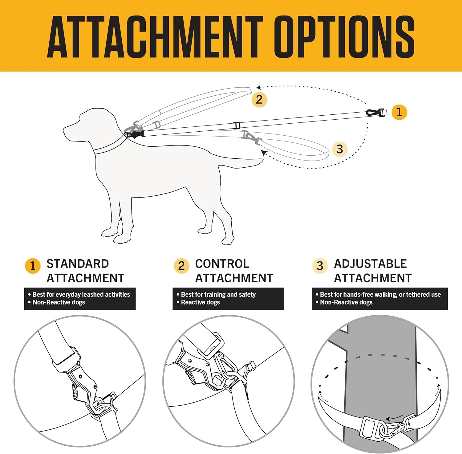 Pet Durable Nylon Webbing Leashes for Dogs, Reflective Stitching for Visibility,  Brown (Nylon Webbing), Large
