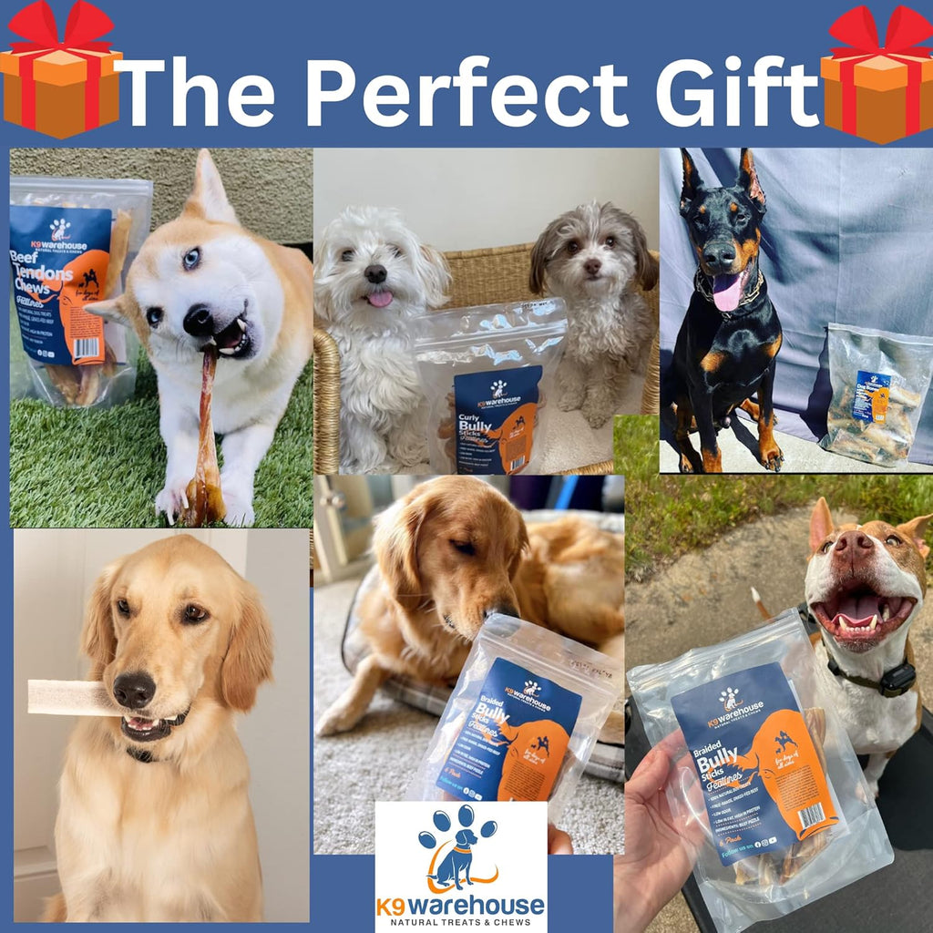 USA Marrow Bones for Dogs – All-Natural 5-6" Beef Bone Marrow Dog Treats – Long Lasting Bones for Aggressive Chewers – High-Protein Chews for Small, Medium, Large & Extra Large Breeds