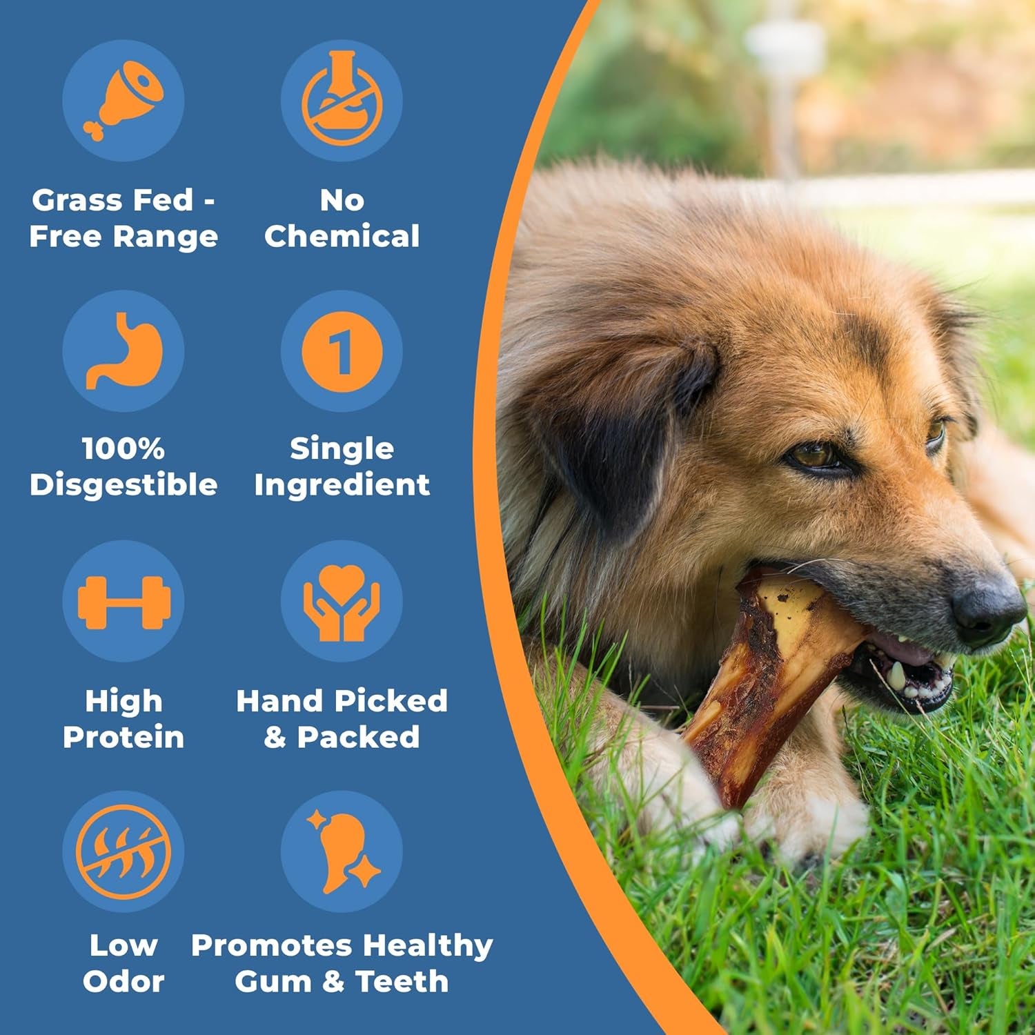 USA Marrow Bones for Dogs – All-Natural 5-6" Beef Bone Marrow Dog Treats – Long Lasting Bones for Aggressive Chewers – High-Protein Chews for Small, Medium, Large & Extra Large Breeds