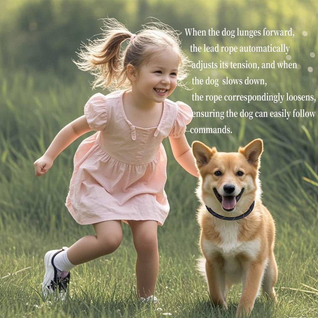 Slip Knot Leashes for Dog Training, 6 FT Black Comfortable Handle Dog Slip Leash for Control Dogs Lead Adjustable Slip Lead for Small Medium Large Dogs