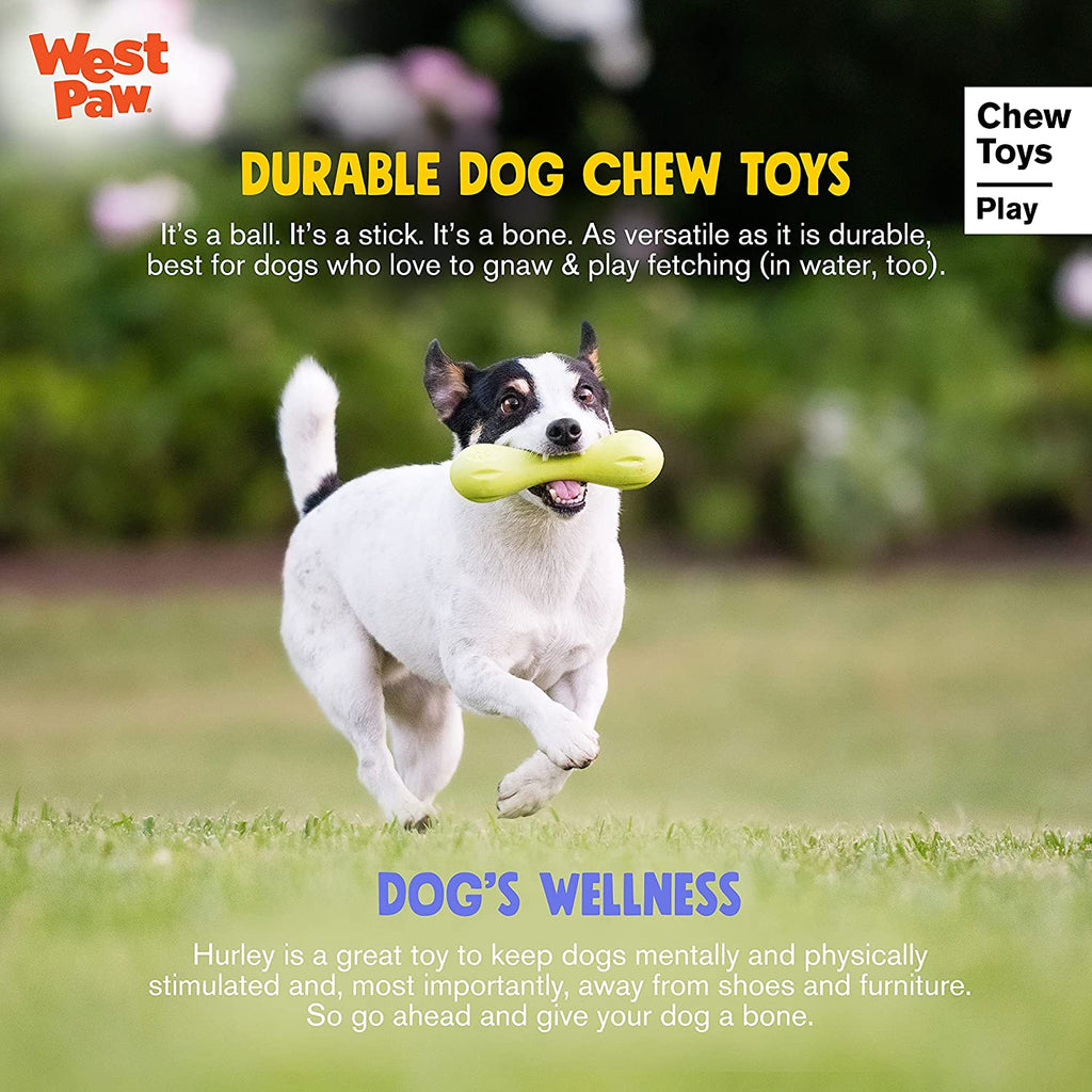 Zogoflex Hurley Dog Bone Chew Toy – Floatable Pet Toys for Aggressive Chewers, Catch, Fetch – Bright-Colored Bones for Dogs – Recyclable, Dishwasher-Safe, Non-Toxic, Small, Aqua