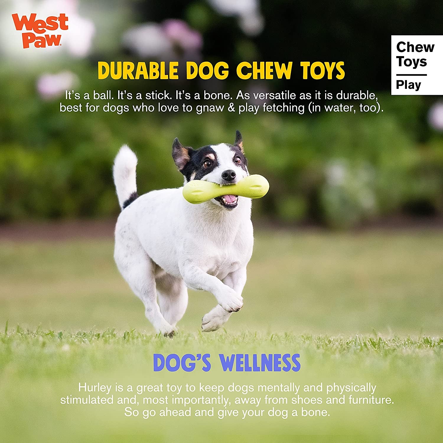 Zogoflex Hurley Dog Bone Chew Toy – Floatable Pet Toys for Aggressive Chewers, Catch, Fetch – Bright-Colored Bones for Dogs – Recyclable, Dishwasher-Safe, Non-Toxic, Large, Aqua